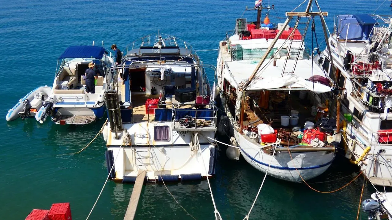 Pegazus Ξενοδοχείο Omišalj Πλωτό κατάλυμα